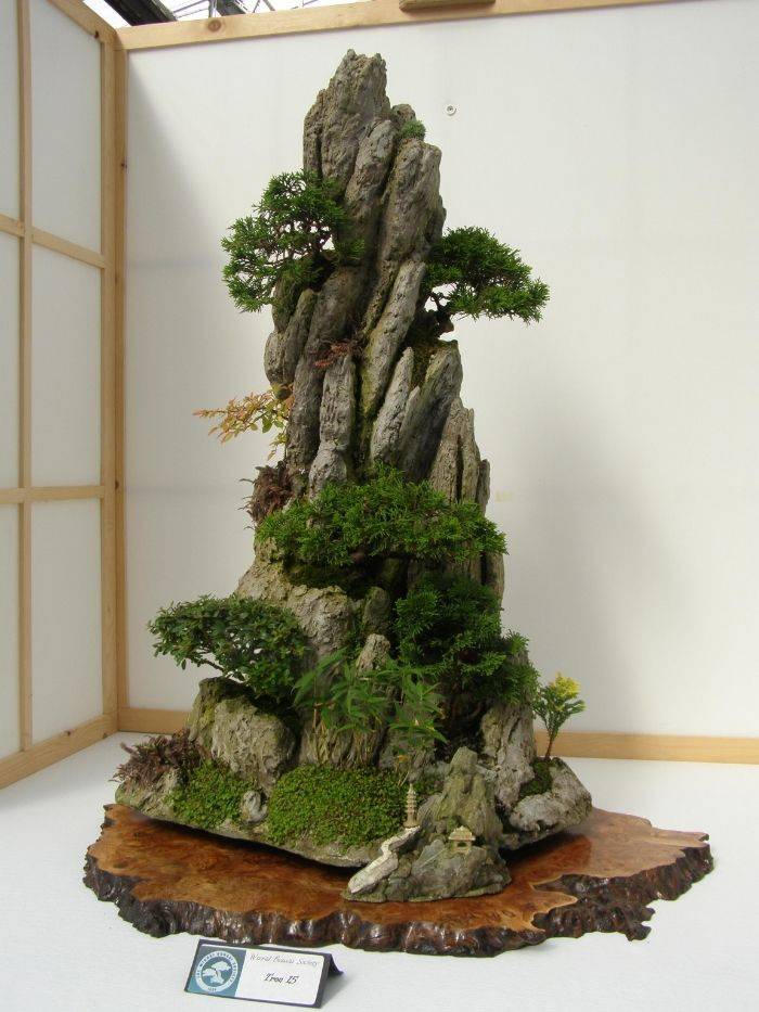 Barry Miller Di Bonsai Bonsai