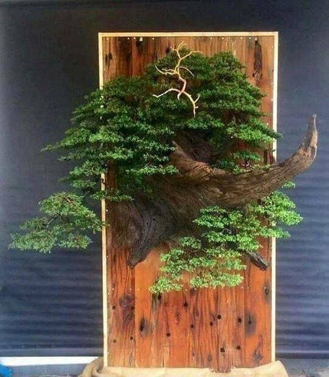 Rock Bonsai Bonsai