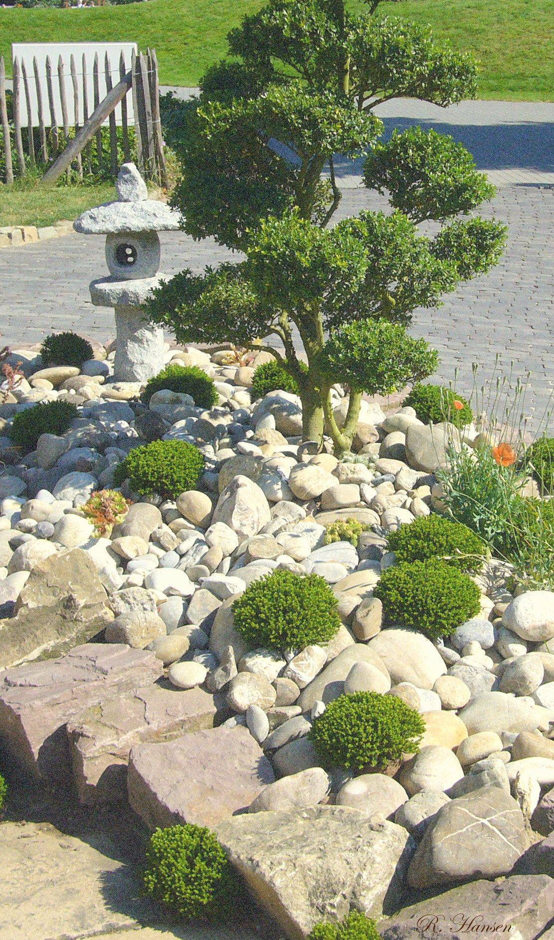 Diy Mini Zen Garden