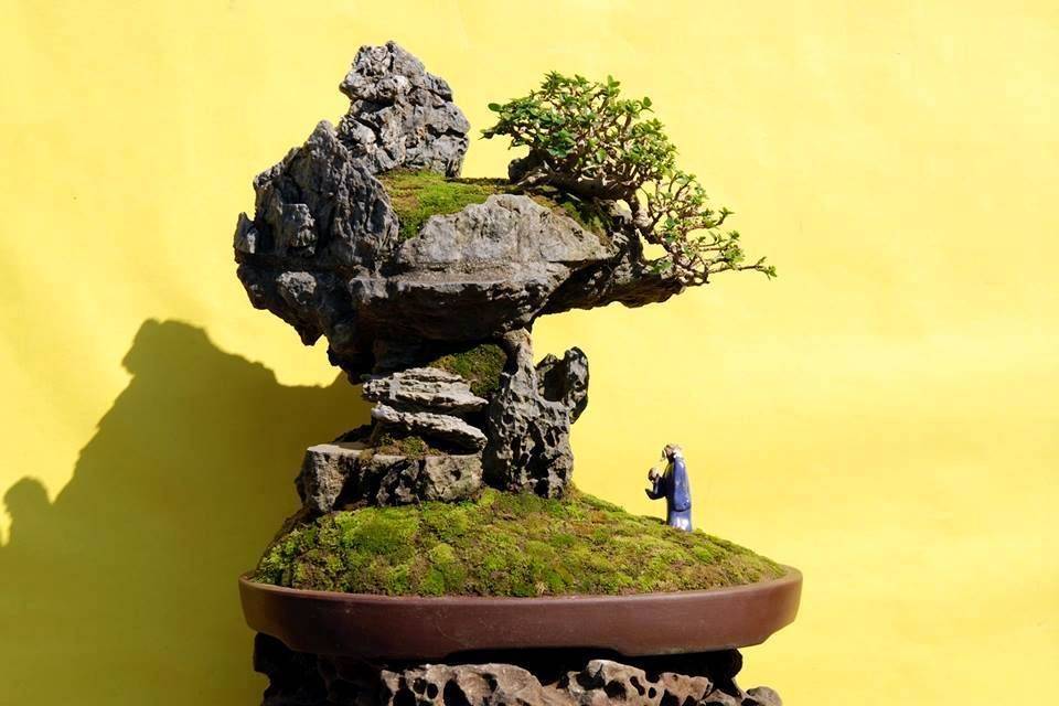 27 Bonsai Rock Garden Ideas Worth to Check SharonSable
