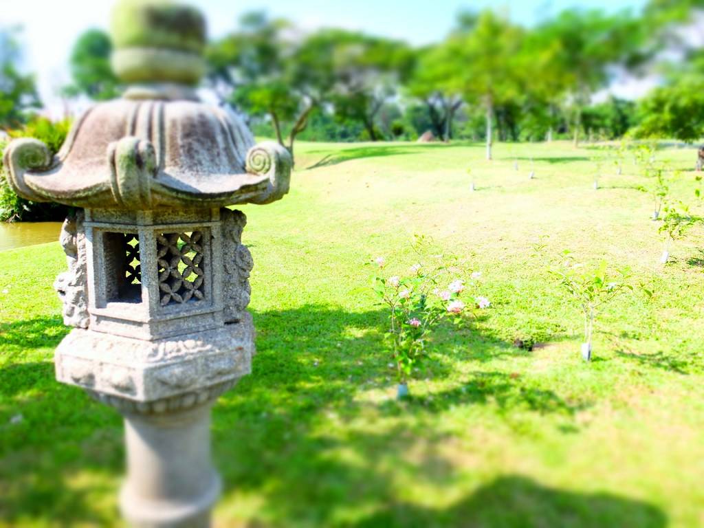 Download Free Images