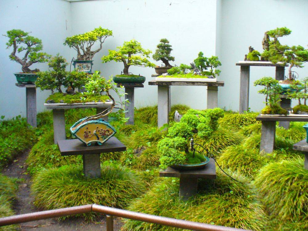 The Garden Chinese Garden