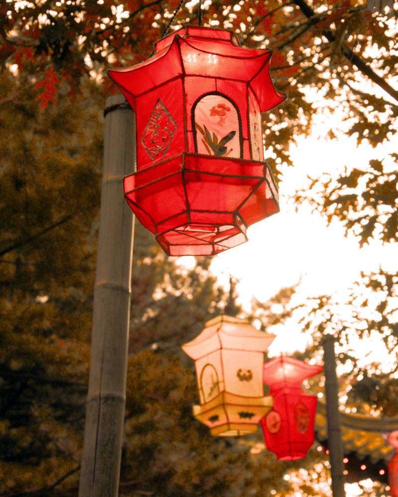 Best Outdoor Japanese Lanterns