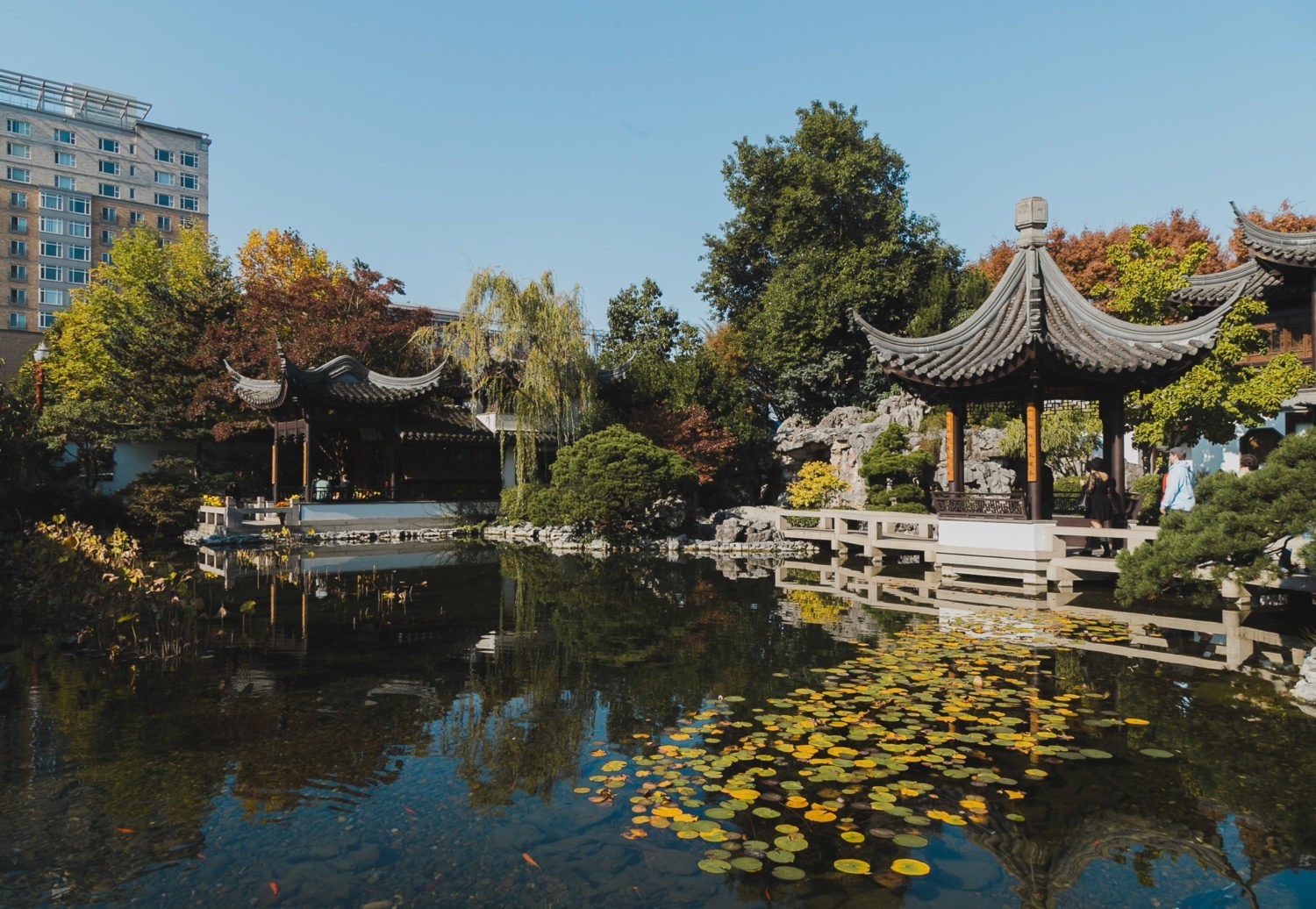 United States Parkgarden