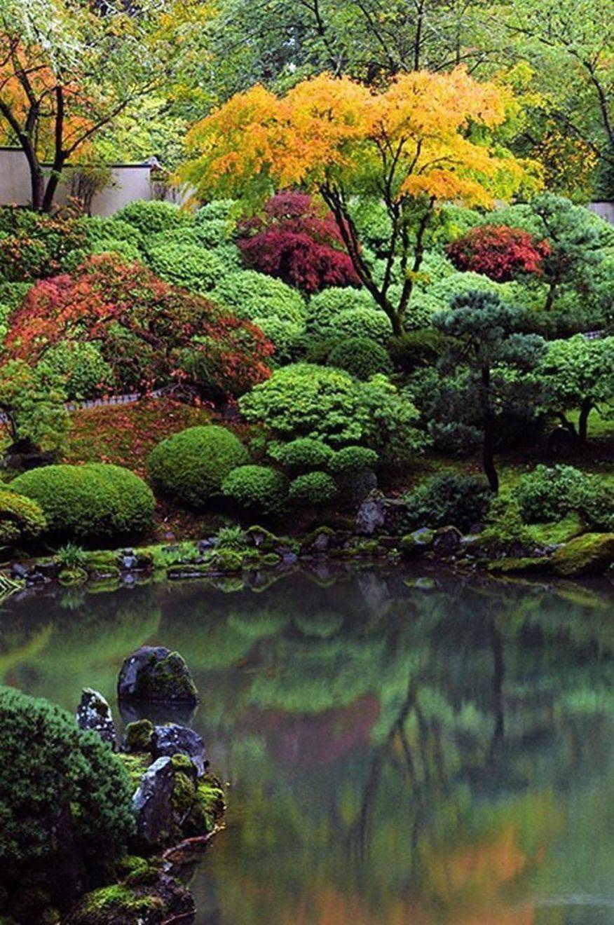 An Asian Inspired Garden Blessing Landscapes