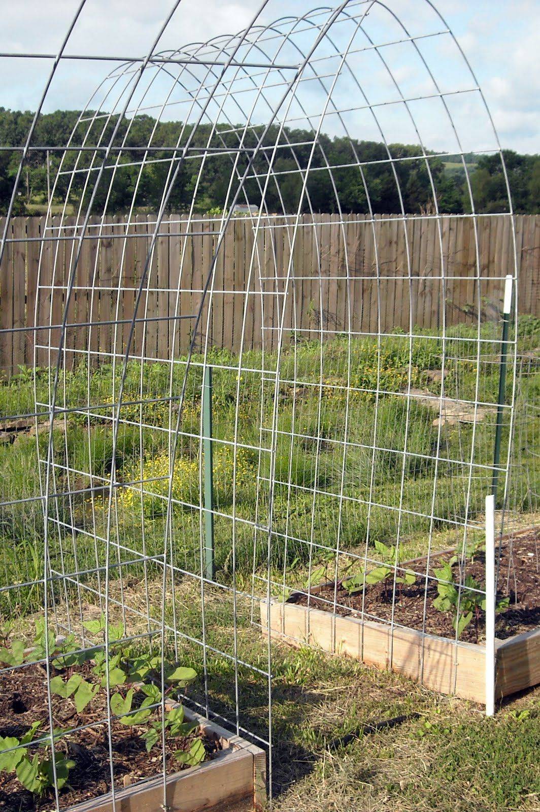 Cattle Panel Trellis Arch Gardenorg
