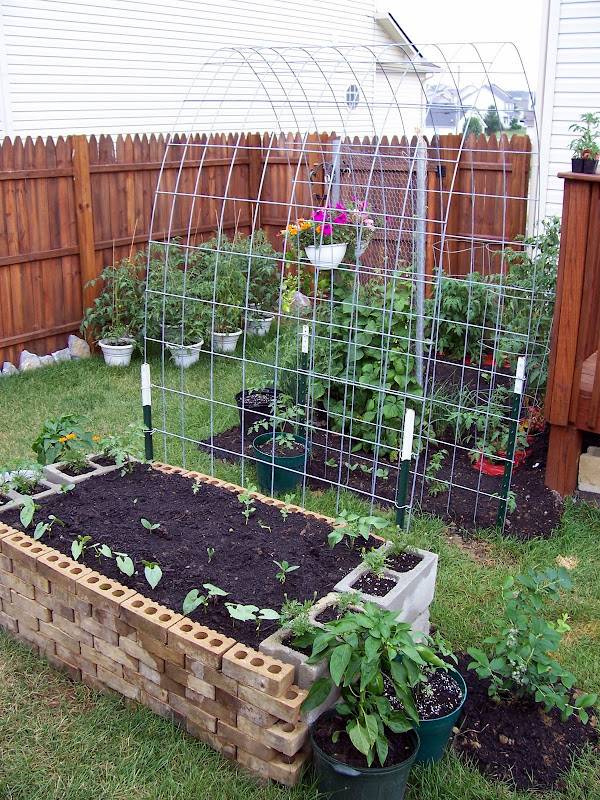 A Garden Archway Trellis