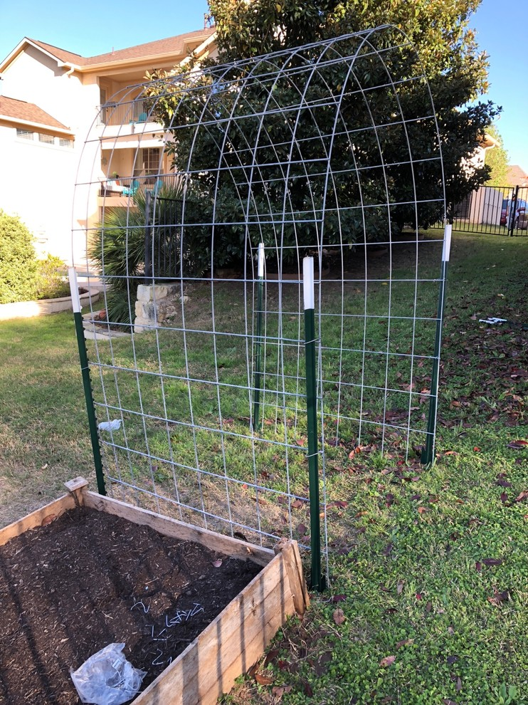 An Eyecatching Bean Trellis