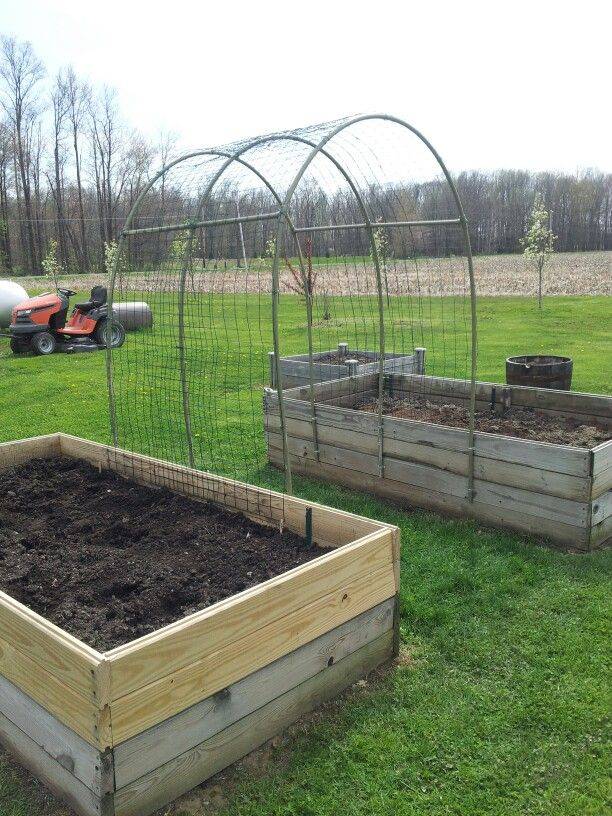 Diy Hoop House Trellis