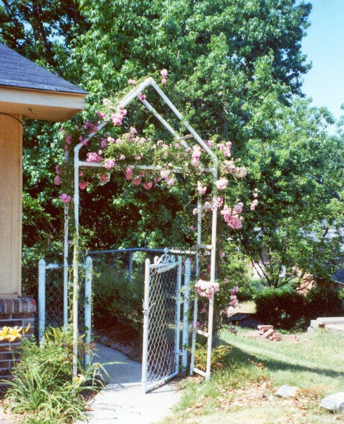 21 PVC Pipe Garden Arch Ideas For This Year SharonSable
