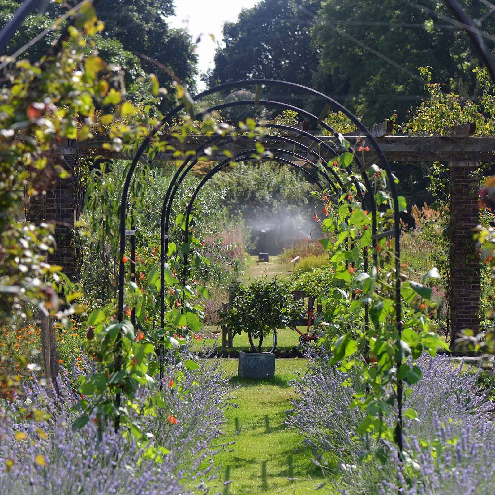 Large Cream French Provincial Wrought Iron Garden Arch