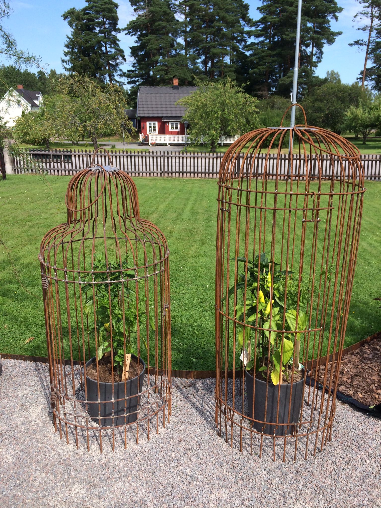 19 Rebar Garden Arch Ideas You Gonna Love SharonSable