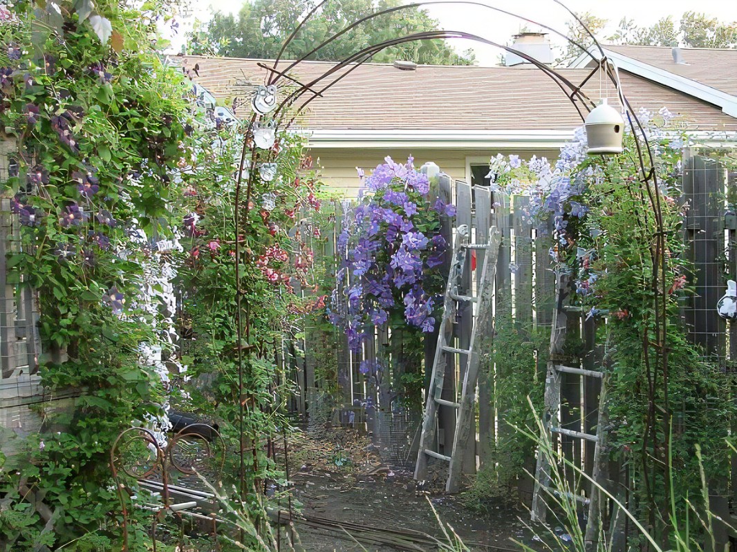 19 Rebar Garden Arch Ideas You Gonna Love SharonSable