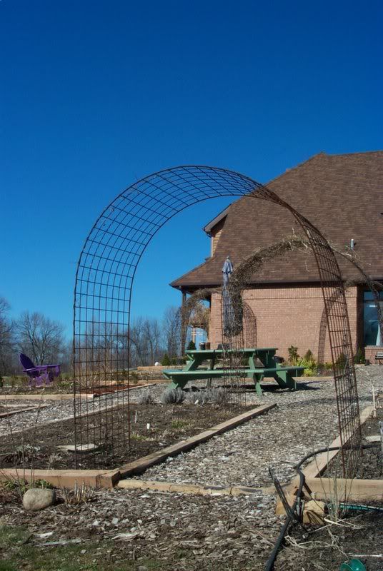 Rebar Garden Arch Salvage Garden Art