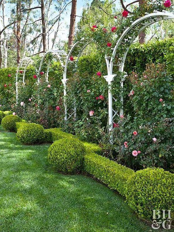 A Garden Archway Trellis