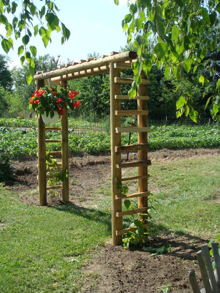 Garden Garden Entrance