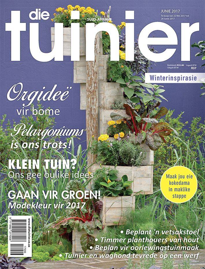 Small Gardens Magazine Driveway Front Door