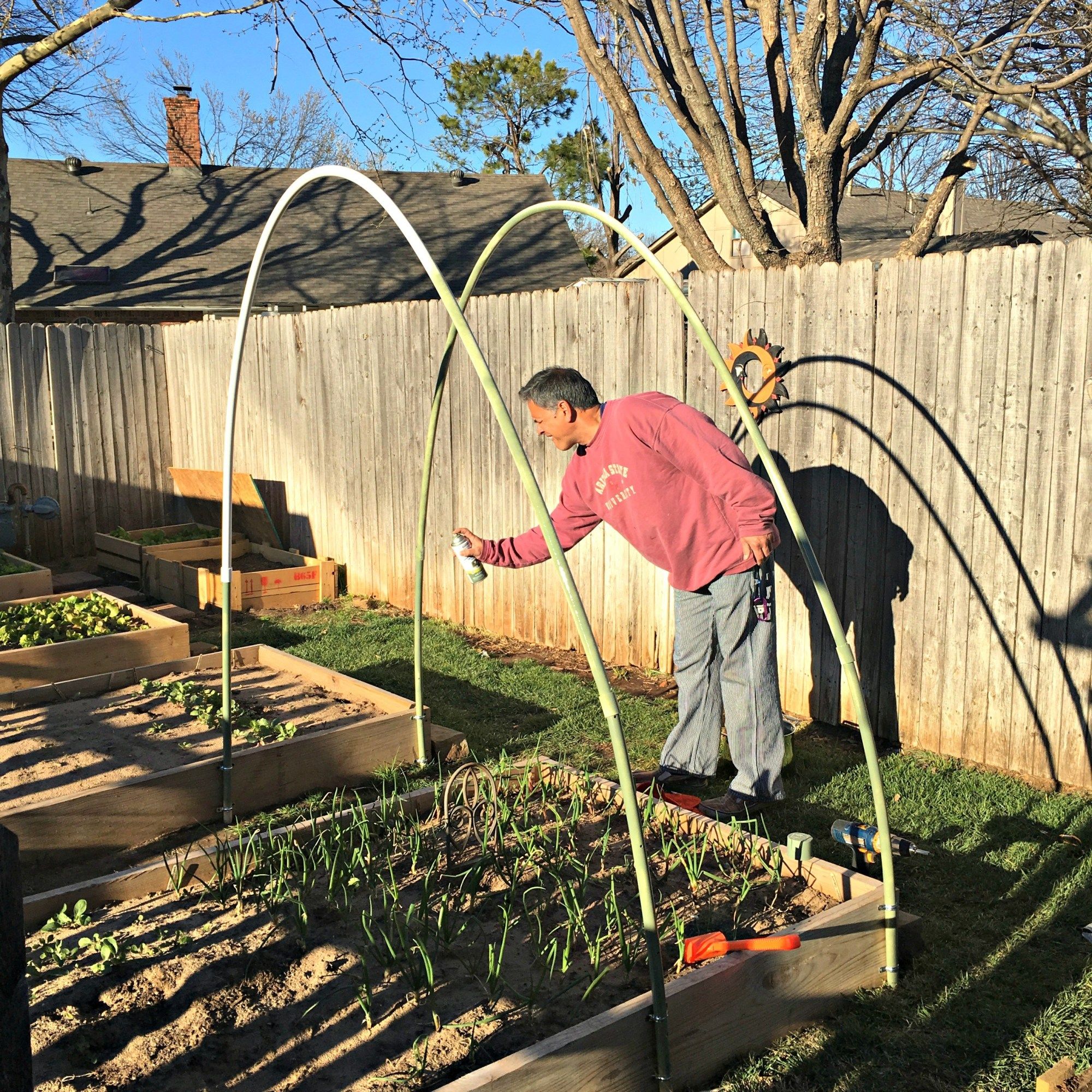 Diy Rose Trellis Arch Rose Trellis