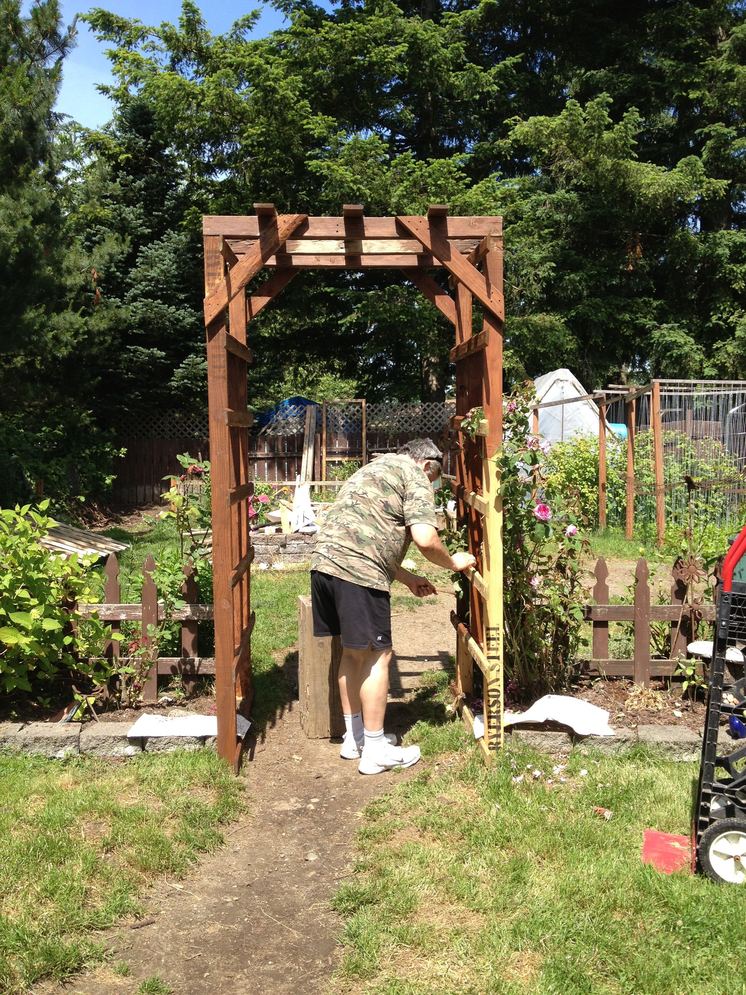 An Eyecatching Bean Trellis