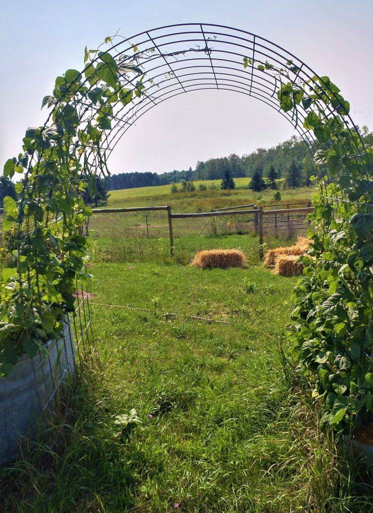 A Wooden Garden Arbor