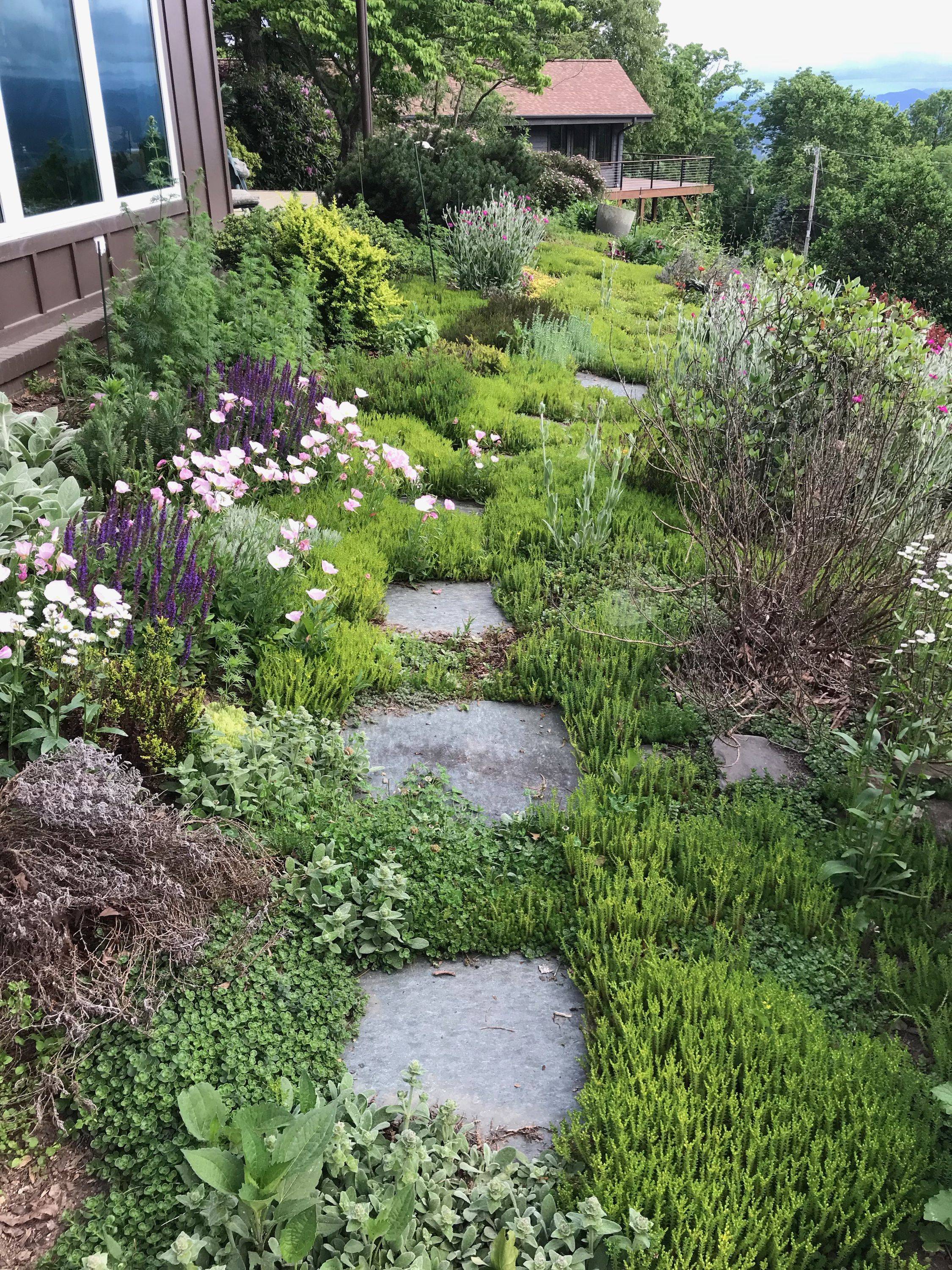 Garden Design Small Garden Landscape