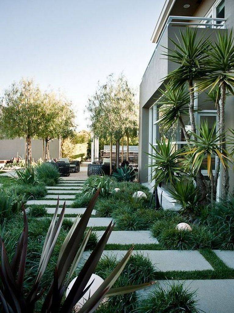 Healthy Green Outdoor Garden Ideas