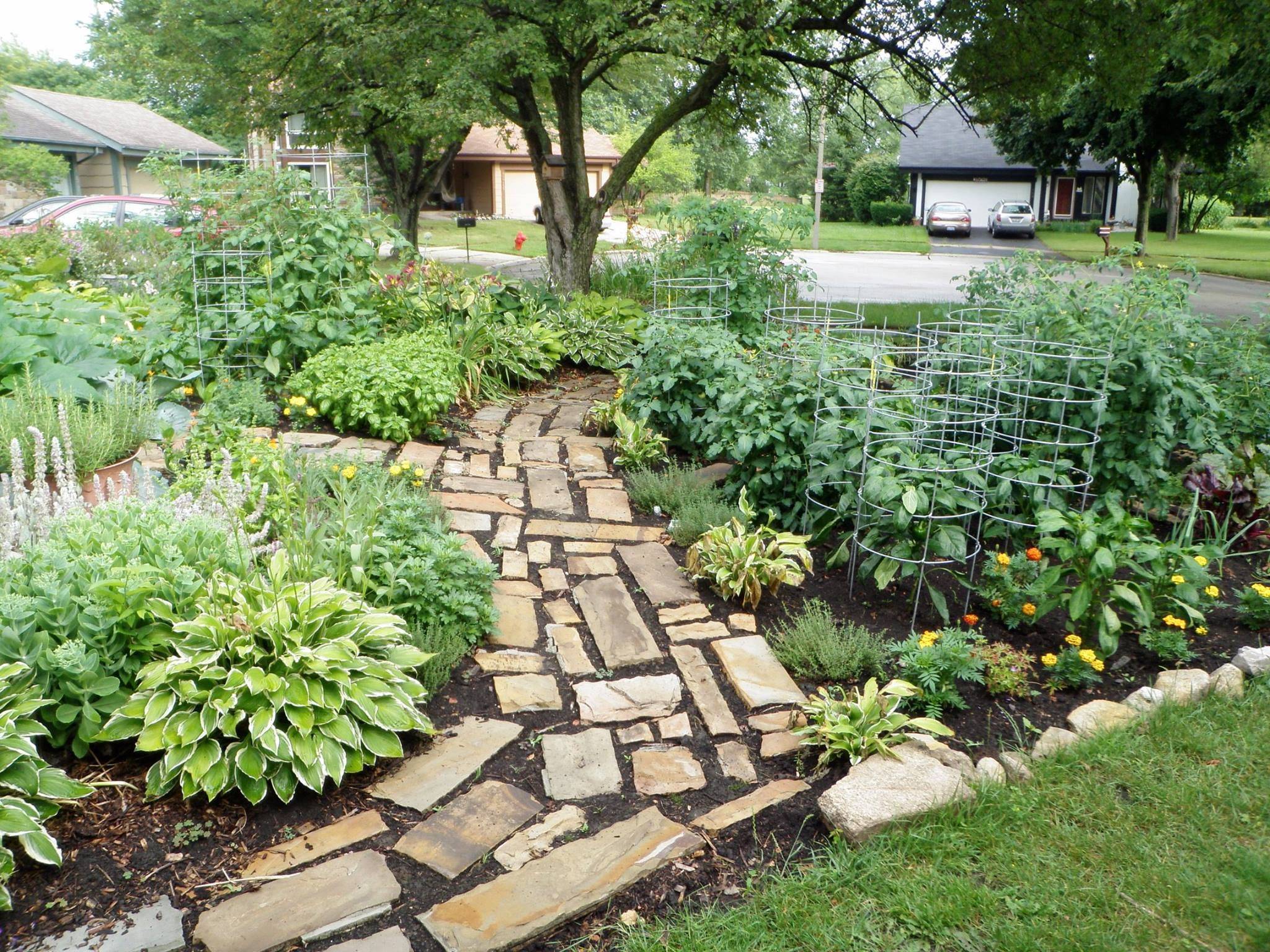 Healthy Green Outdoor Garden Ideas