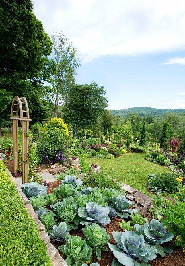 Small Cottage Garden Ideas