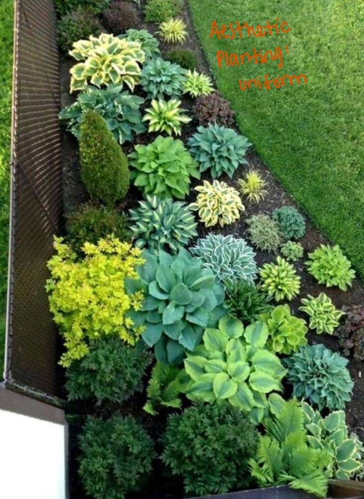 Modern Garden Aesthetic Gardening Decoration Trends