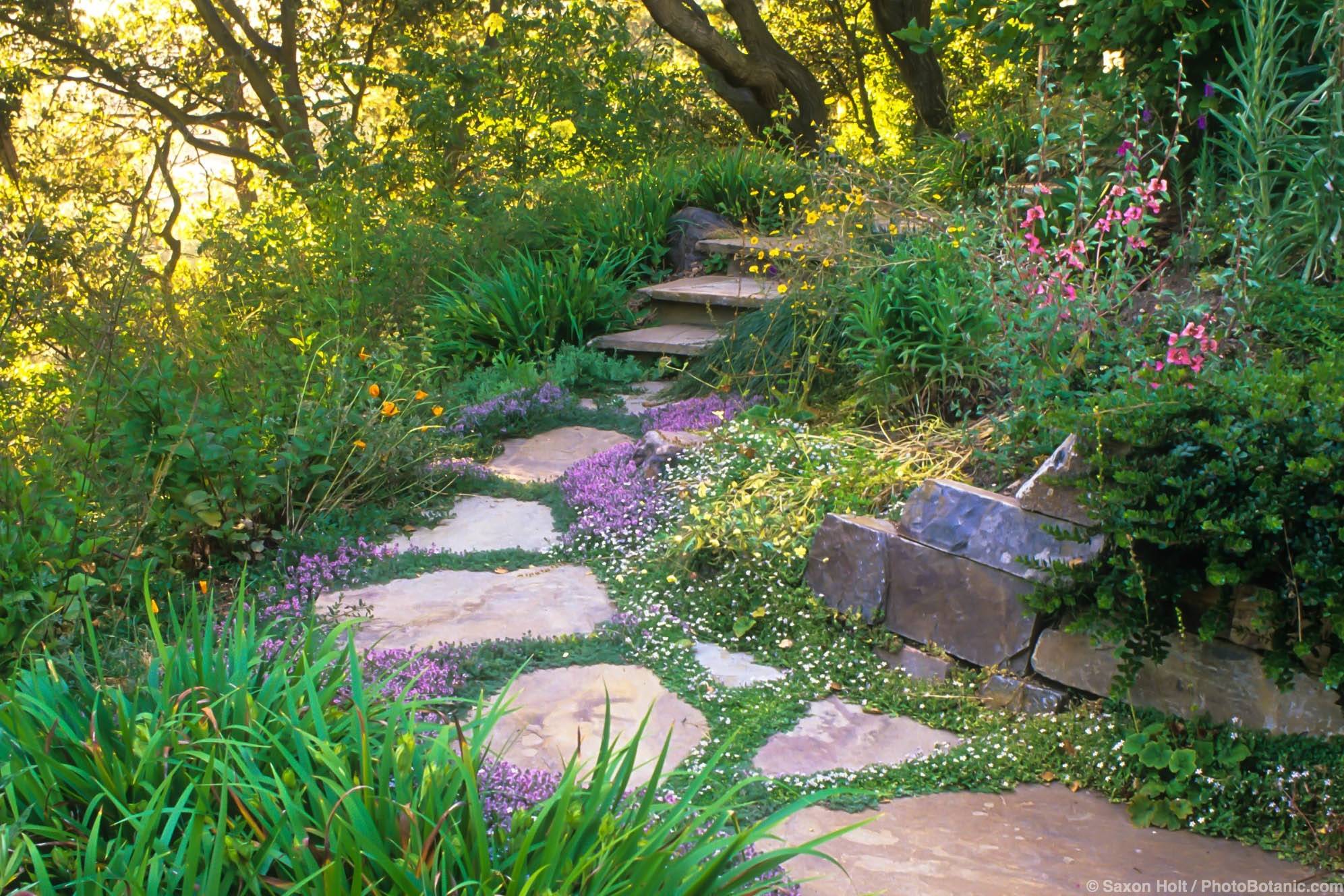 Cottage Nature Aesthetics Cottage Garden