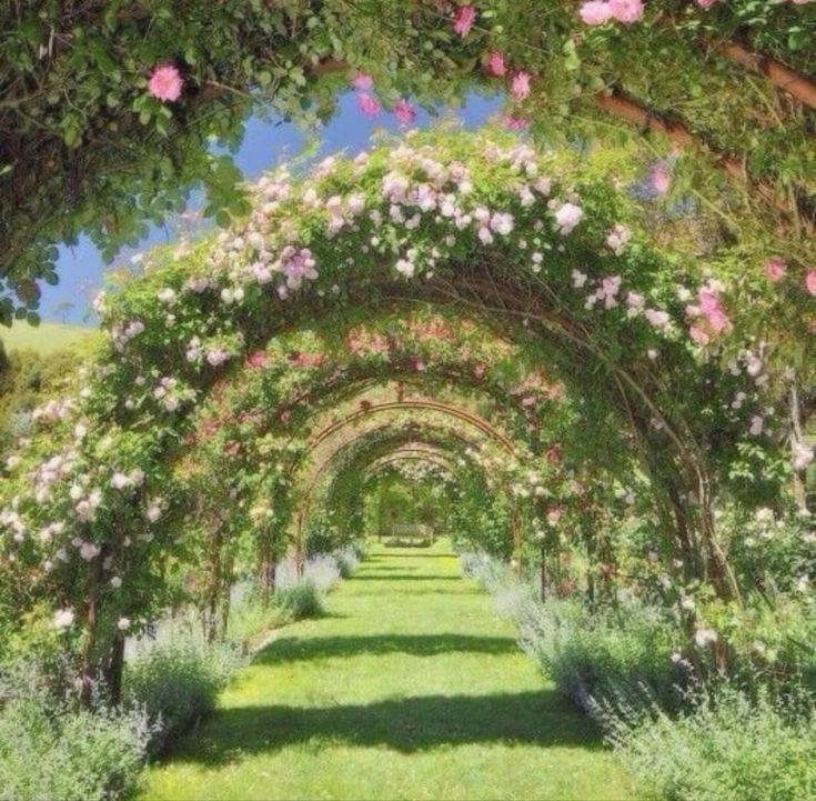 The Garden Aesthetic