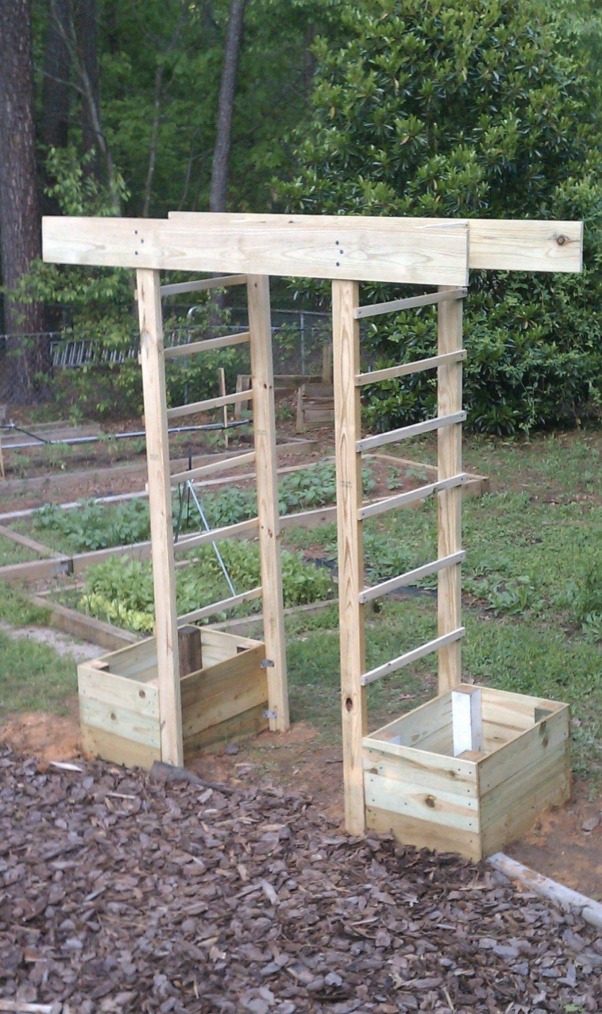 Vegetable Garden Trellis Ideas Simphome