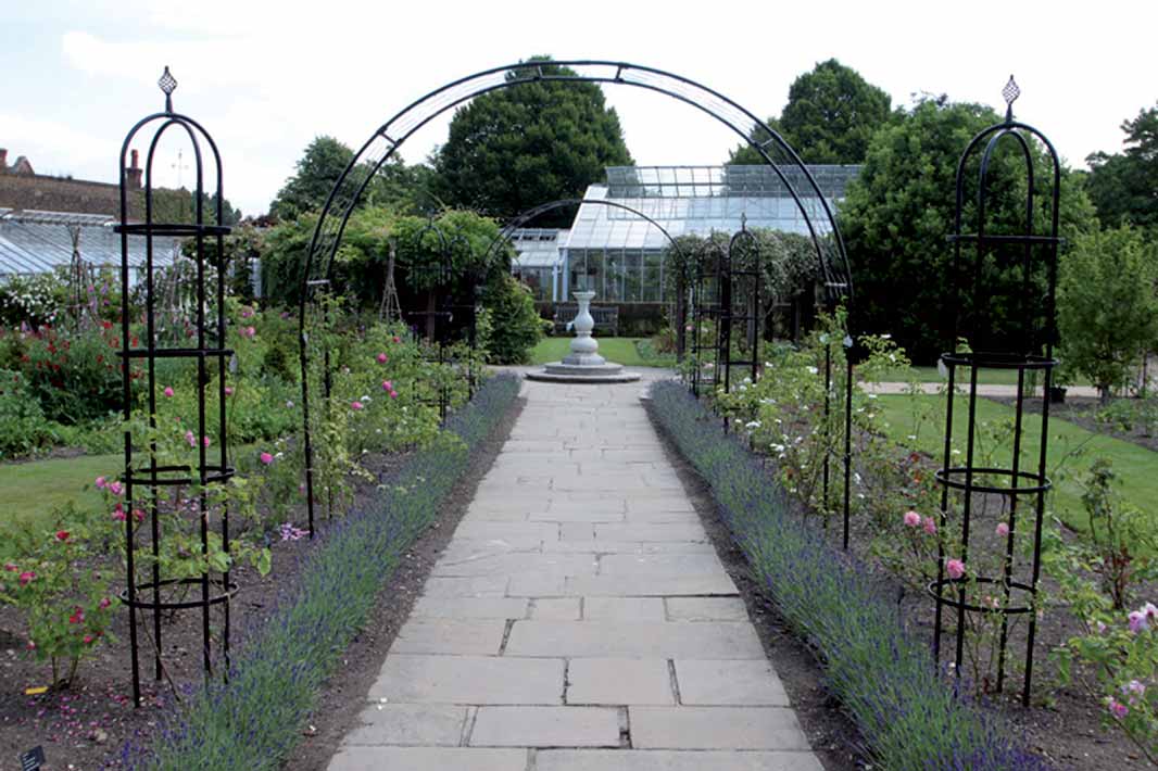 Planters Garden Design Ideas