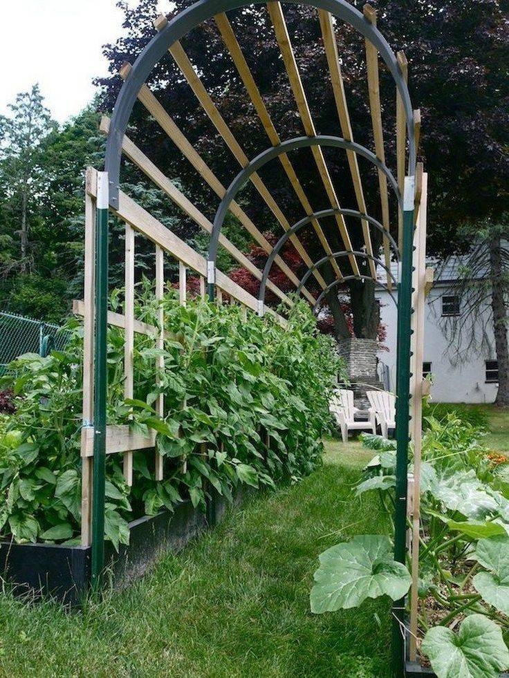 Gardening Forumtrellis