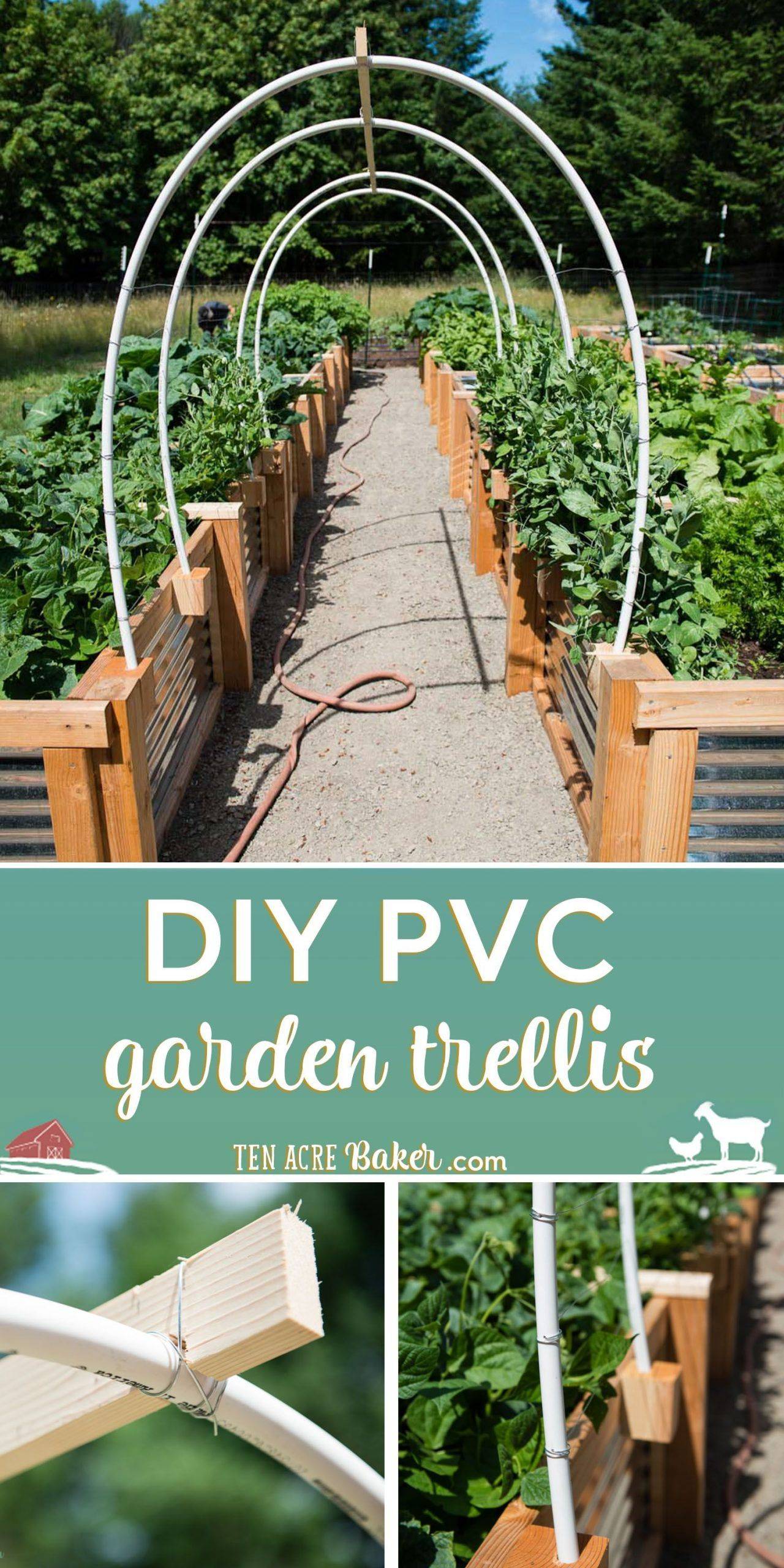 Diy Hoop House Trellis