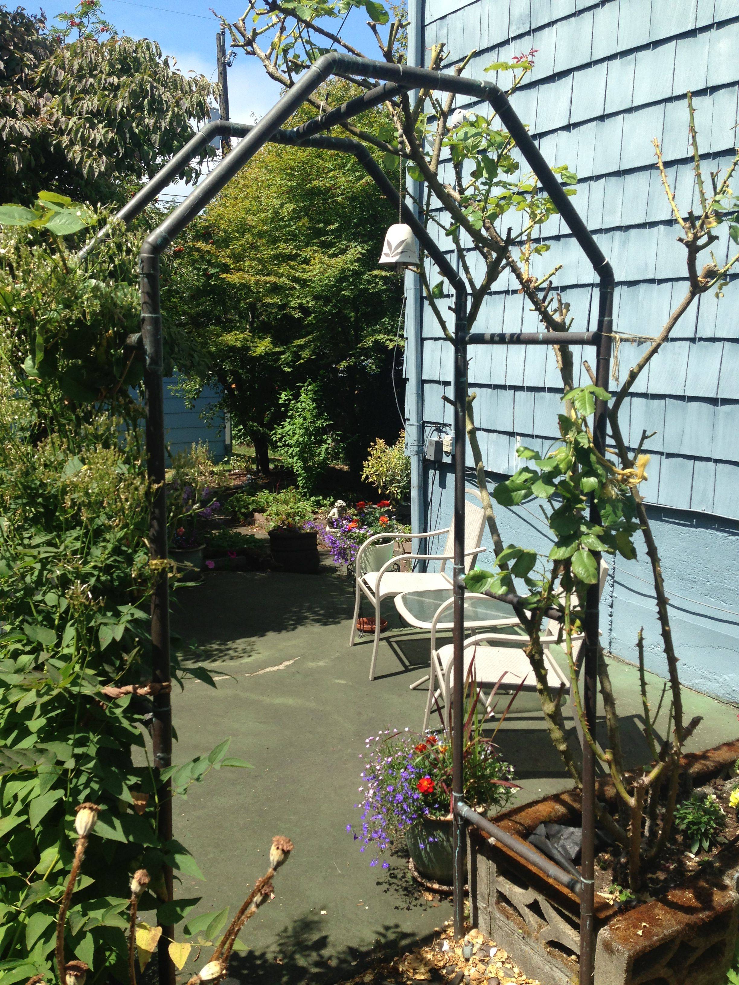 Outdoor Christmas Lights