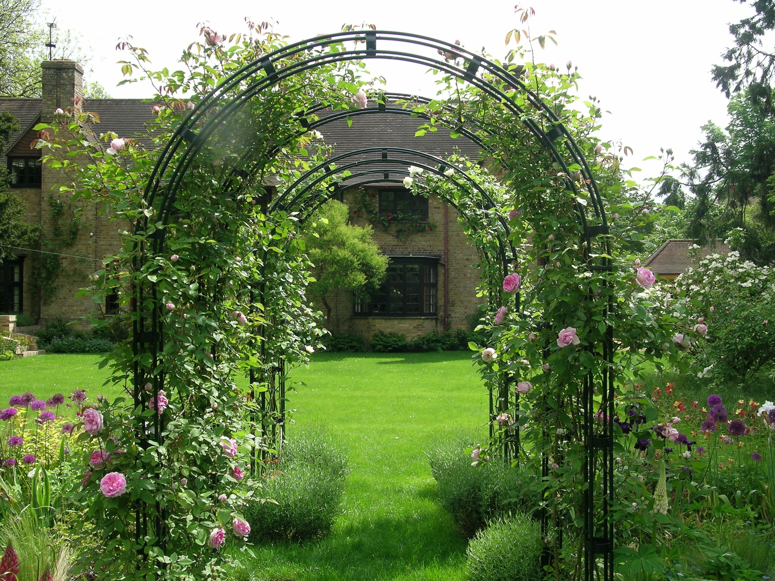 Metal Arch Arbor R Garden Archway