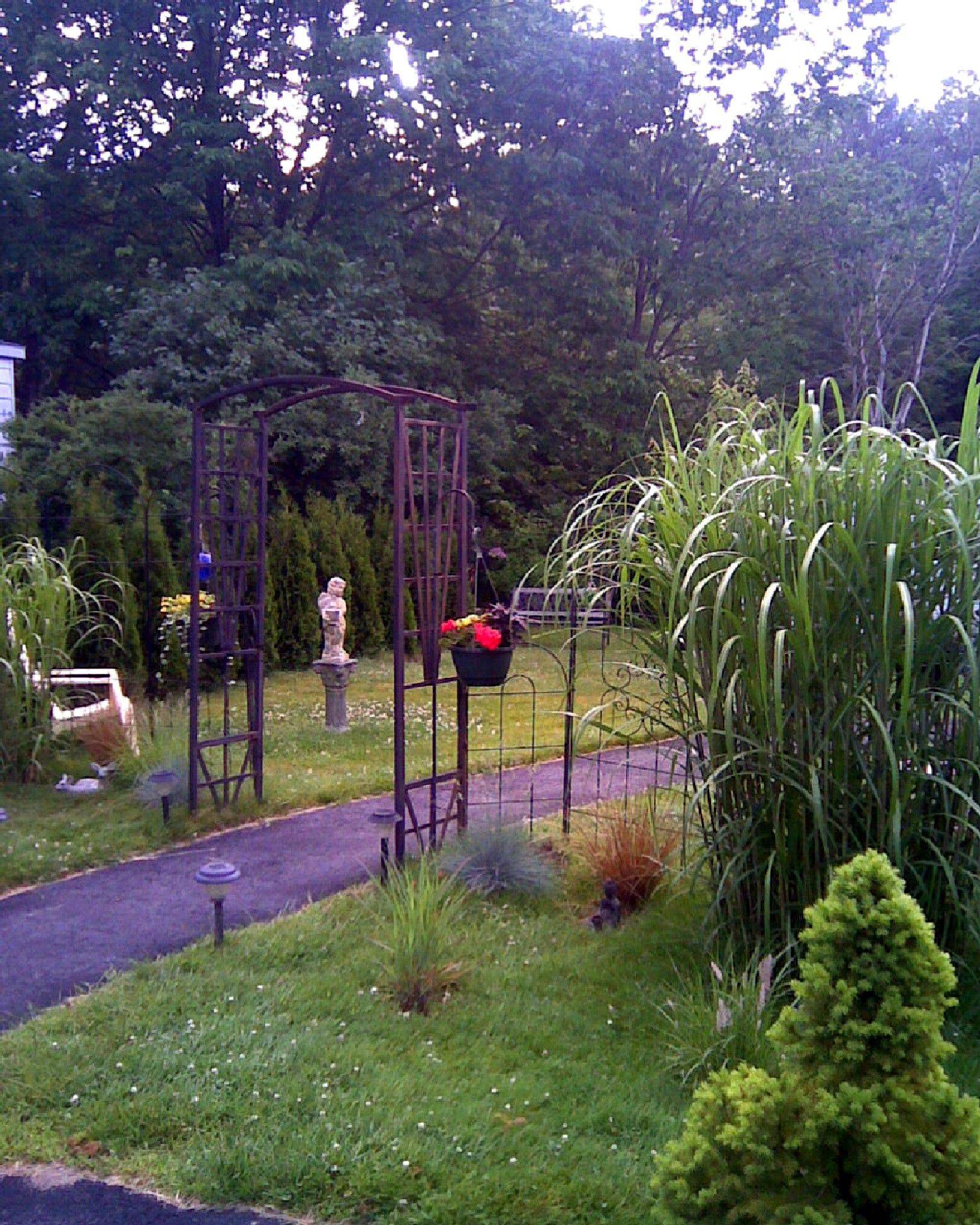 Rustic Natural Cedar Furniture Glendale Arbor Garden Arbor