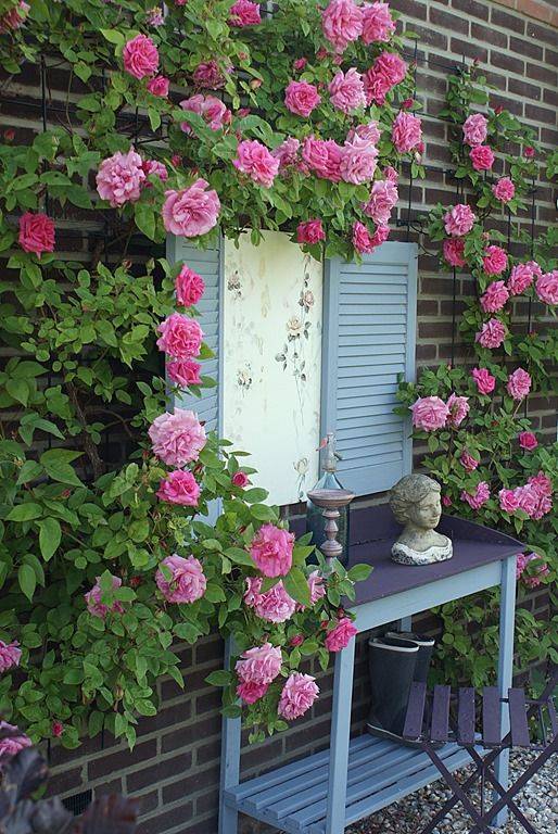 Shabby Chic Garden