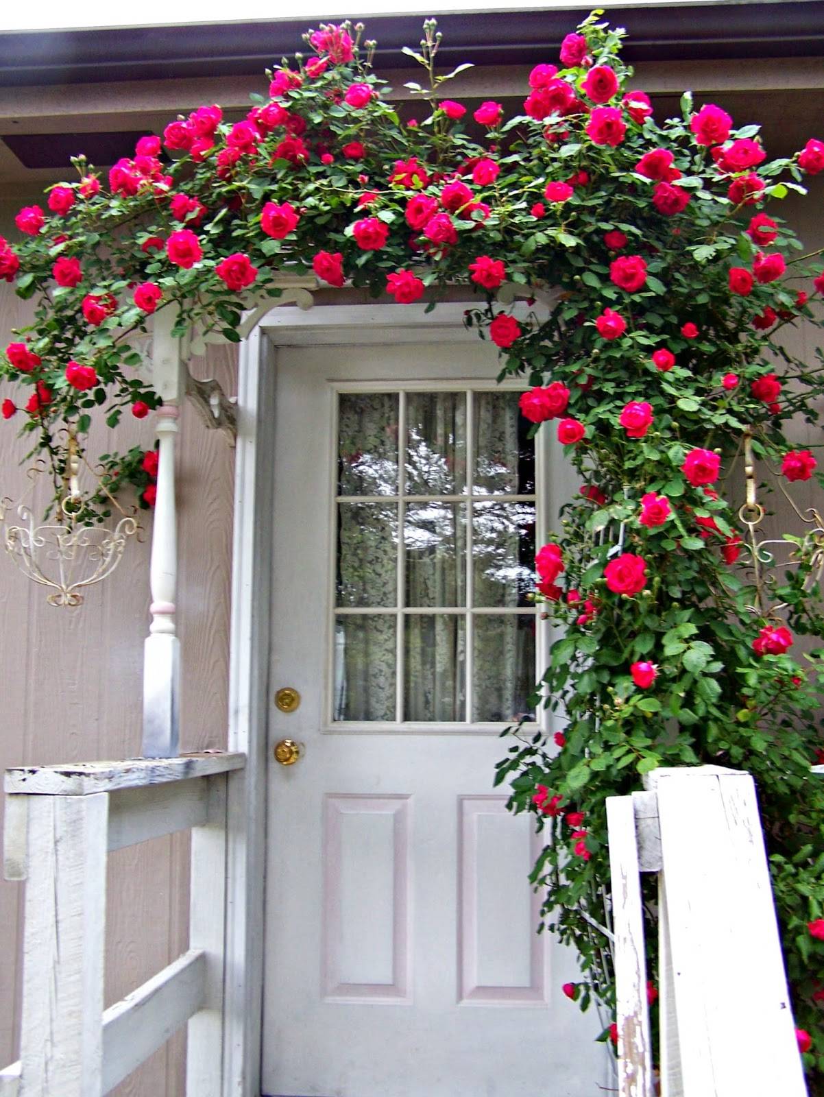 Shabby Chic Garden
