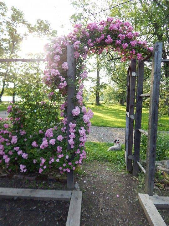 Olivias Romantic Home