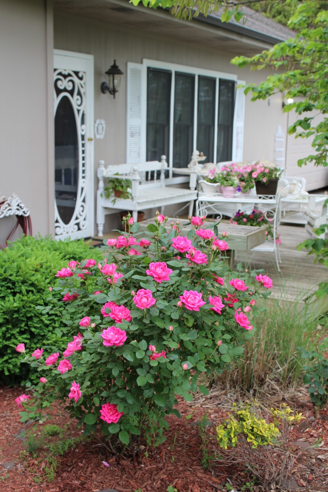 Olivias Romantic Home