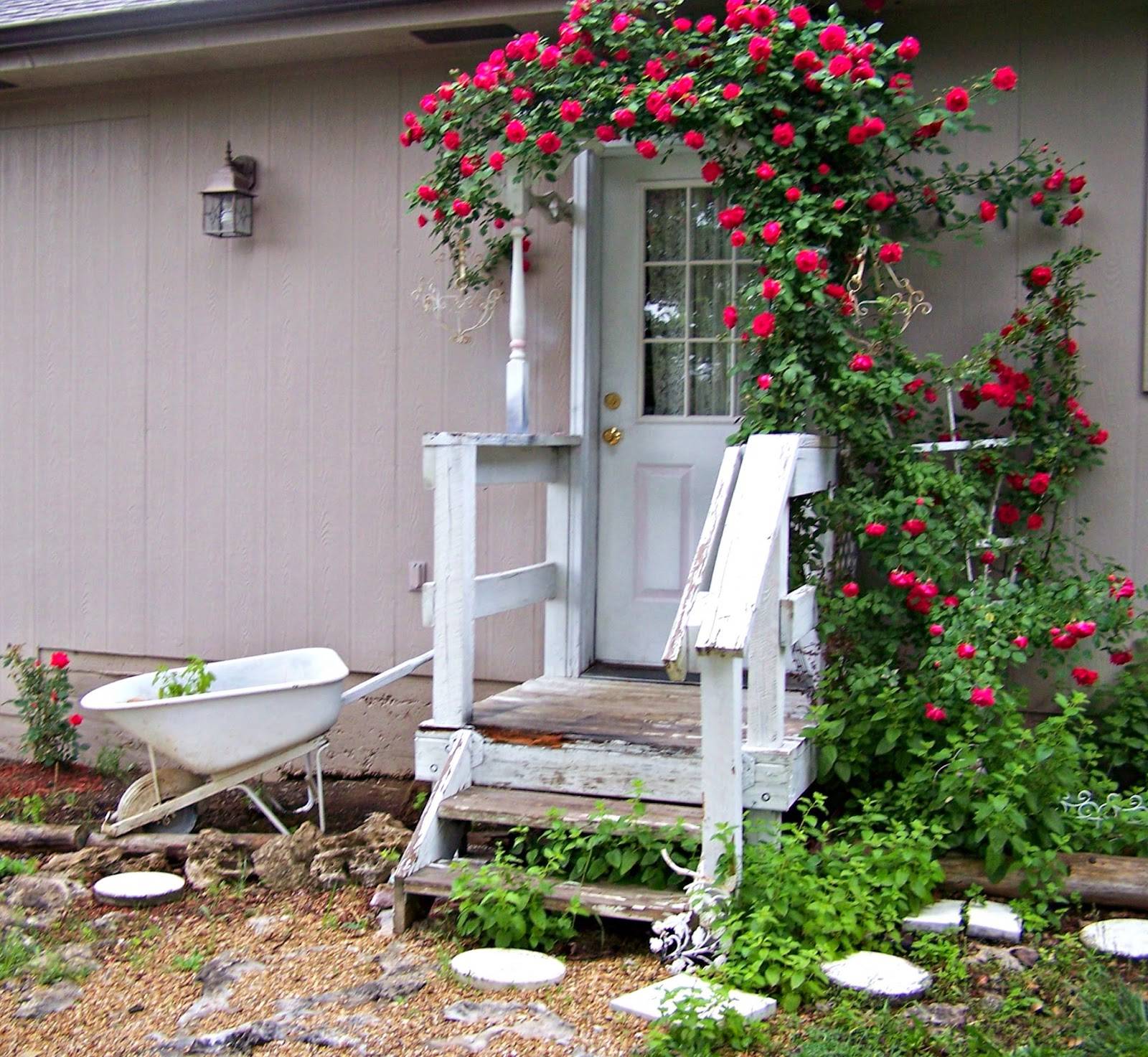 Shabby Chic Rose Garden