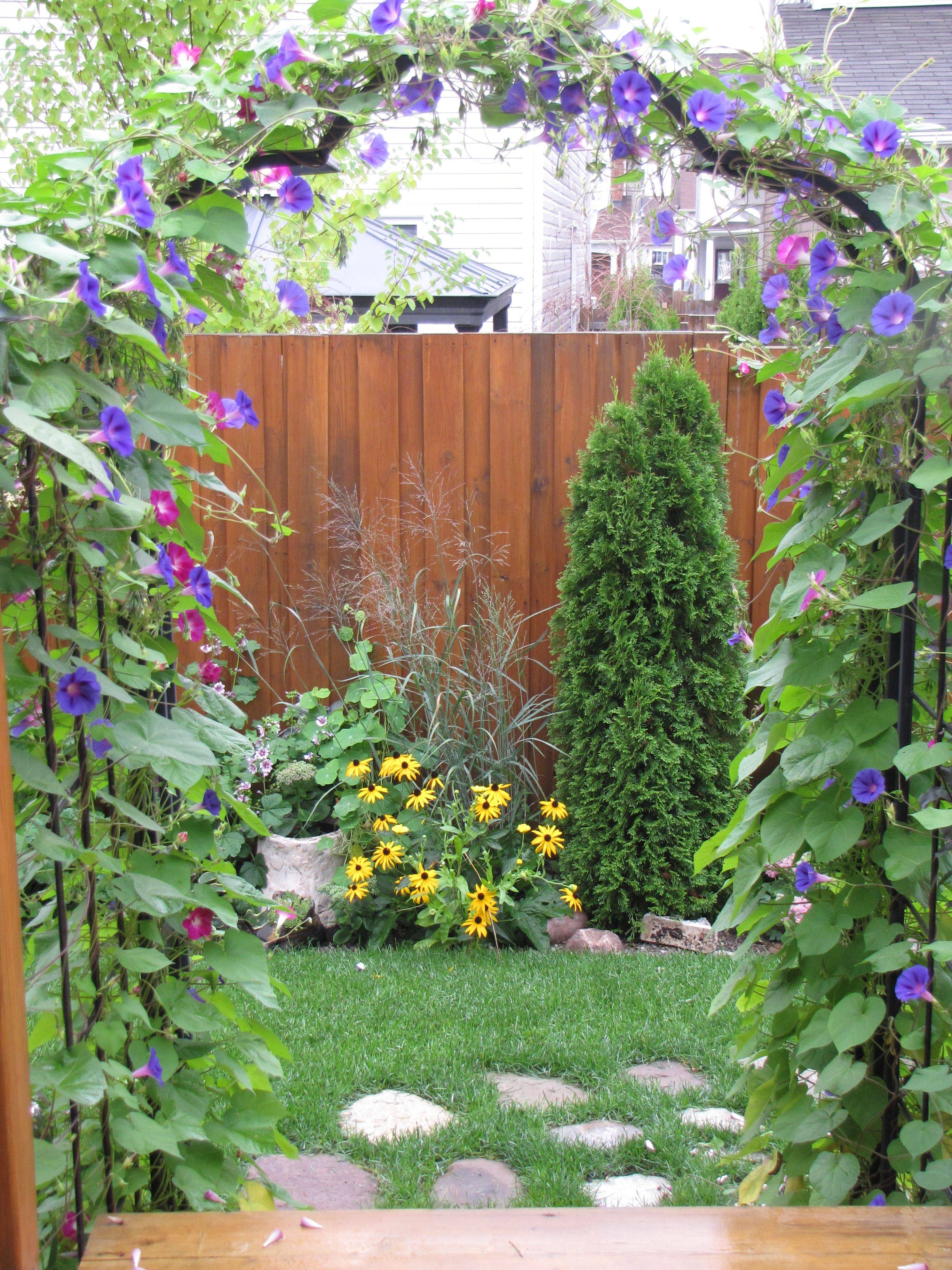Easy Pergola