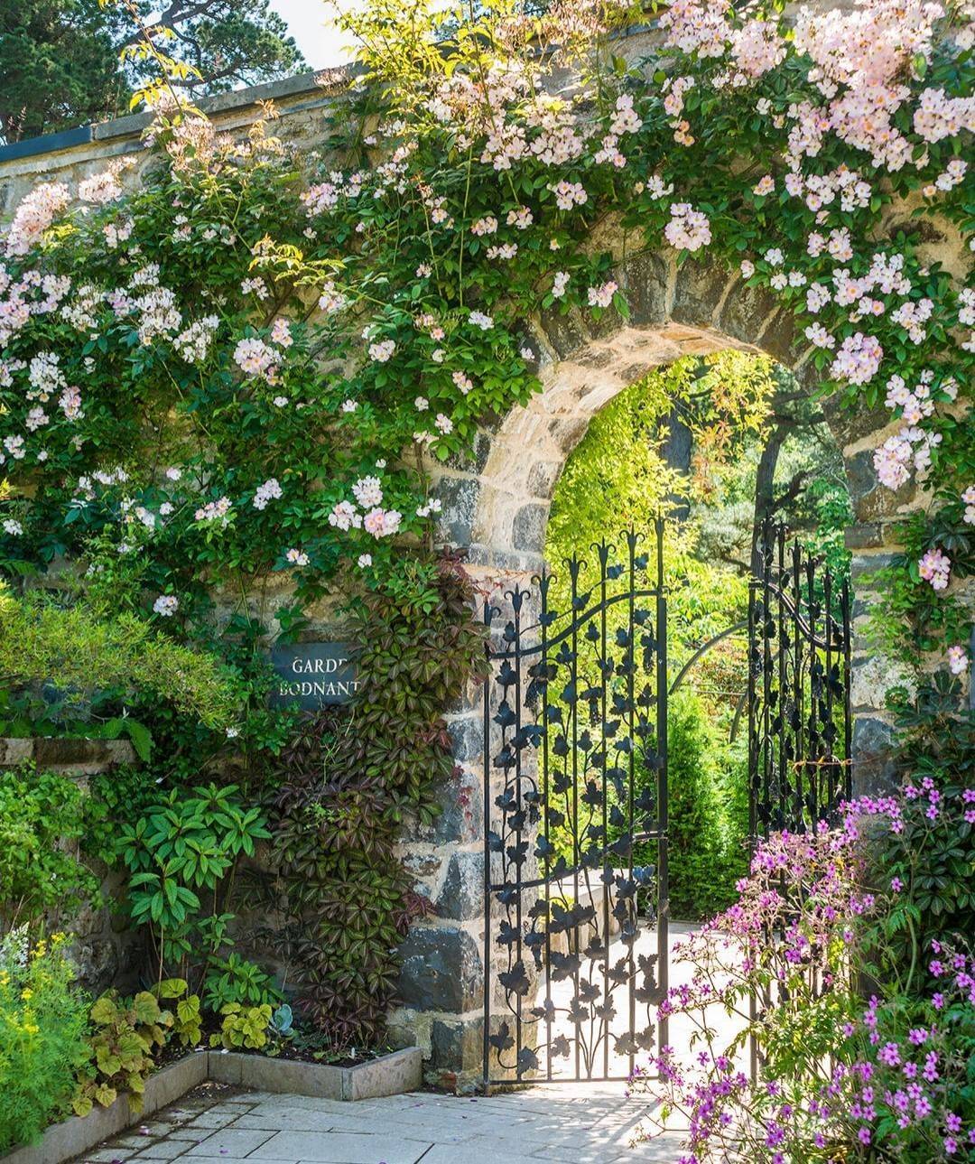 Your Garden Aesthetic Morflora