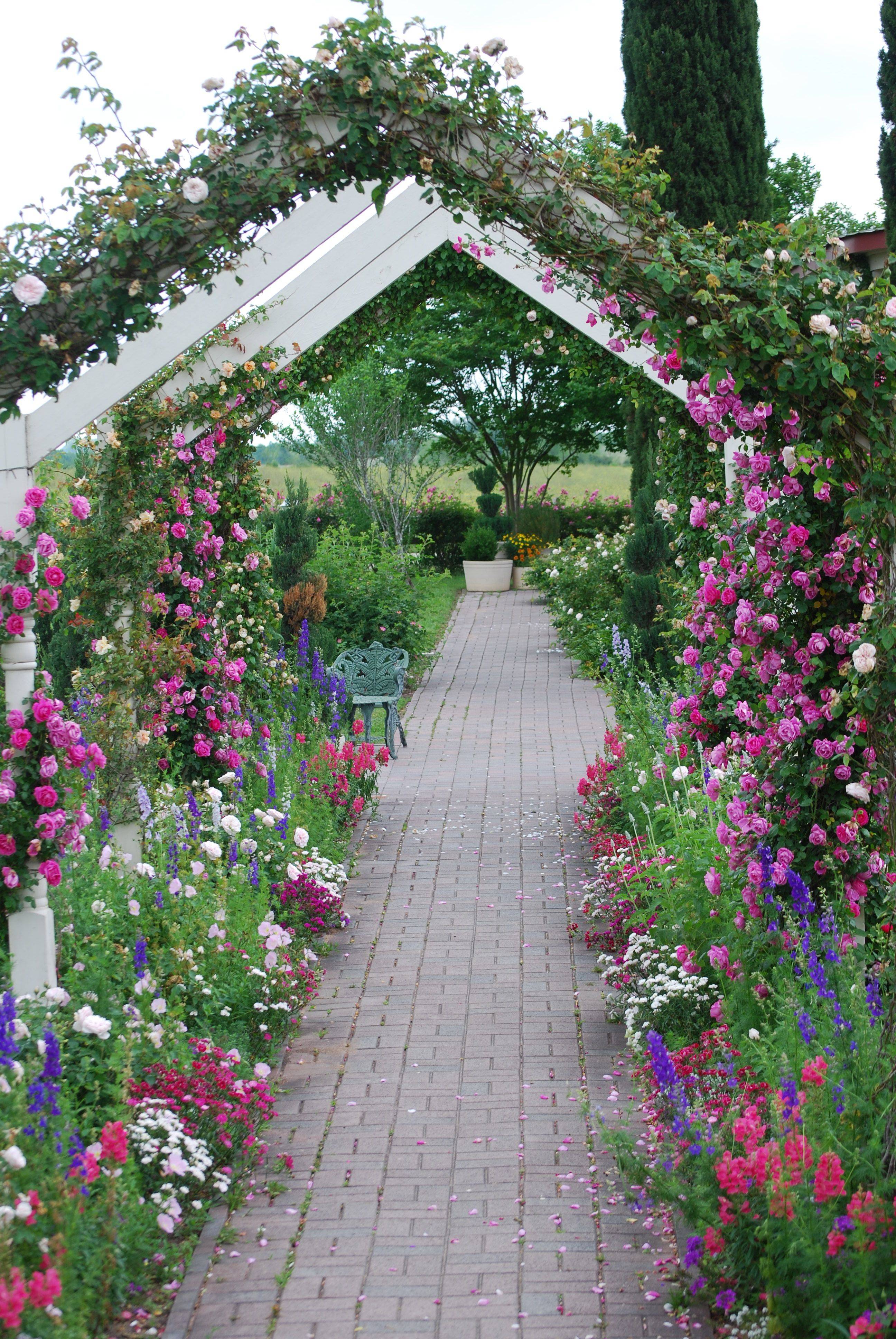 Beautiful Wooden Arches