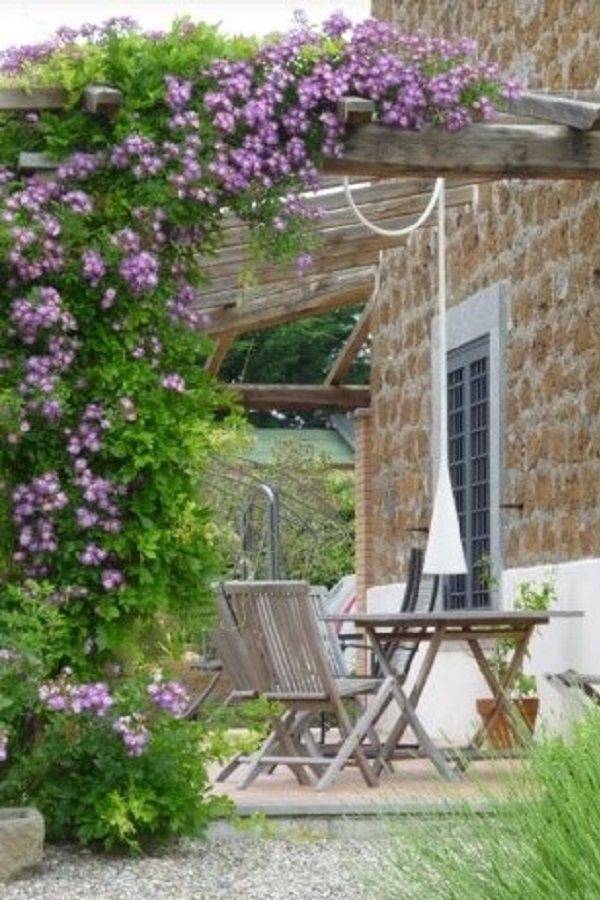 Favorite Easytogrow Fragrant Flowering Vines