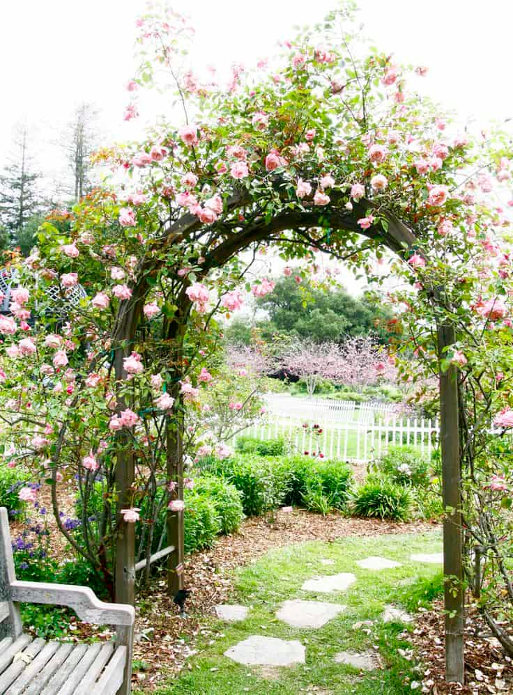 An Enchanting Outdoor Space