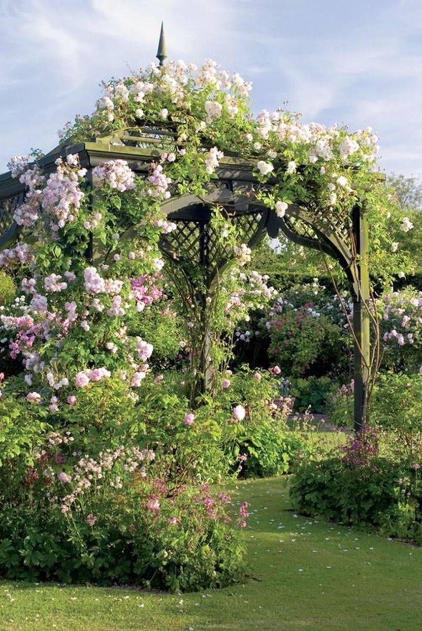 Wonderful Backyard Secret Garden Landscaping Design Ideas