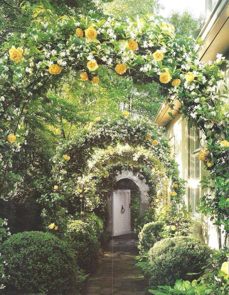 Beautiful Arbor Designs